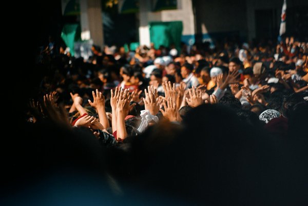 Les incontournables DVD de l'année : Les sorties qui ont fait sensation