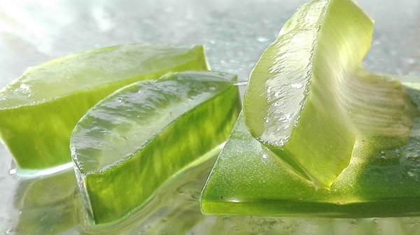 Aloe vera produits forever : le meilleur pour votre santé naturelle